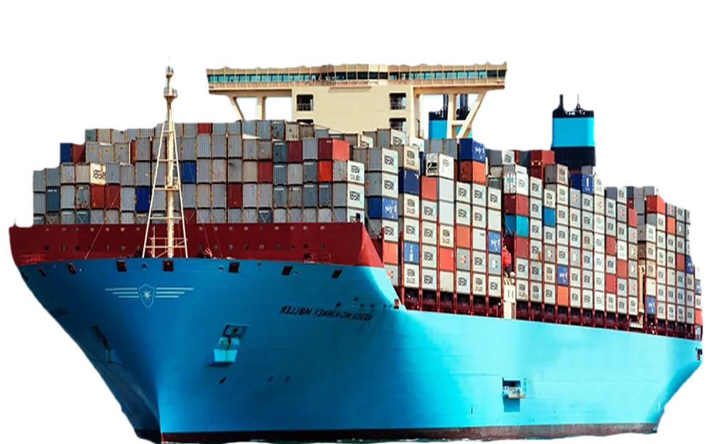 Export Activities